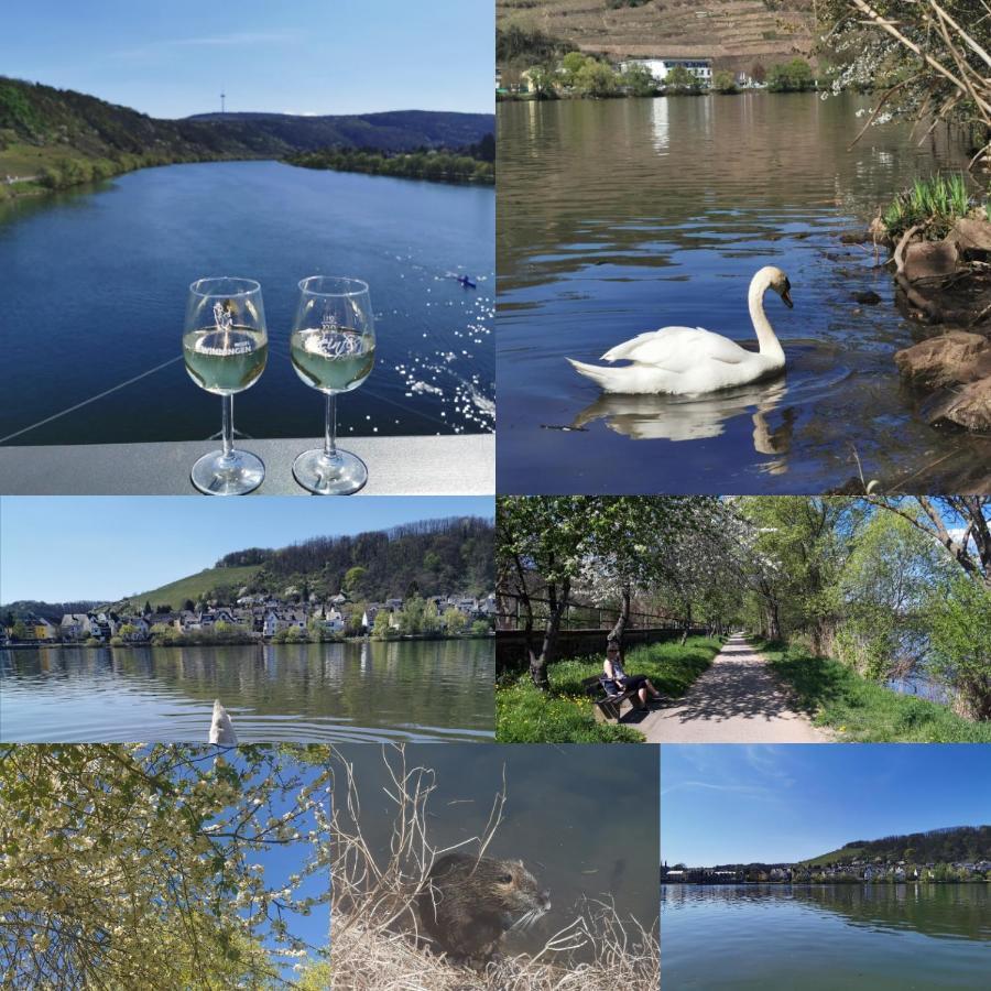 Auszeit Rhein-Mosel Apartman Waldesch Kültér fotó