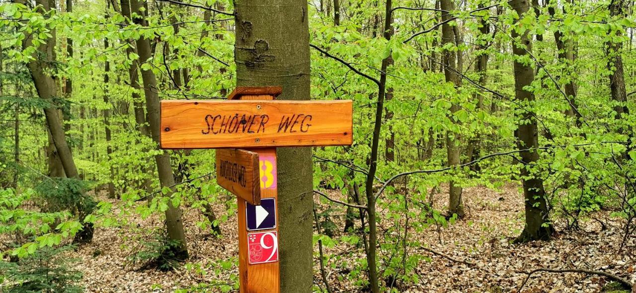 Auszeit Rhein-Mosel Apartman Waldesch Kültér fotó