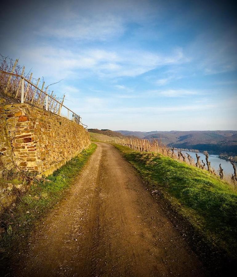 Auszeit Rhein-Mosel Apartman Waldesch Kültér fotó